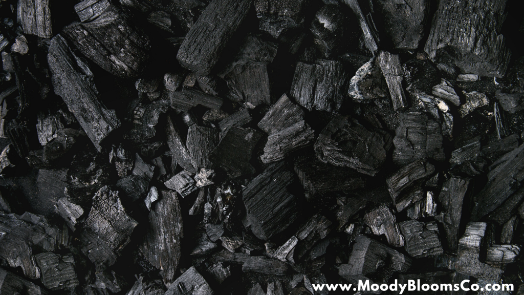 Charcoal for Terrariums Moody Blooms